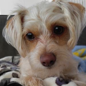 Meet your Posher, Annaliese